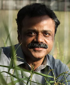 Naweed Naqvi